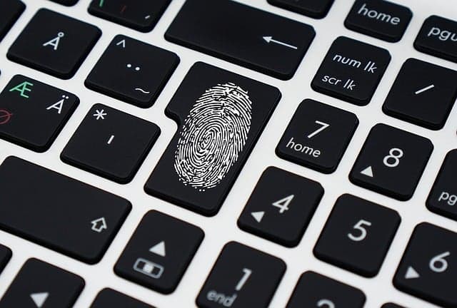 Steps to Follow if Your Photography Work is Stolen