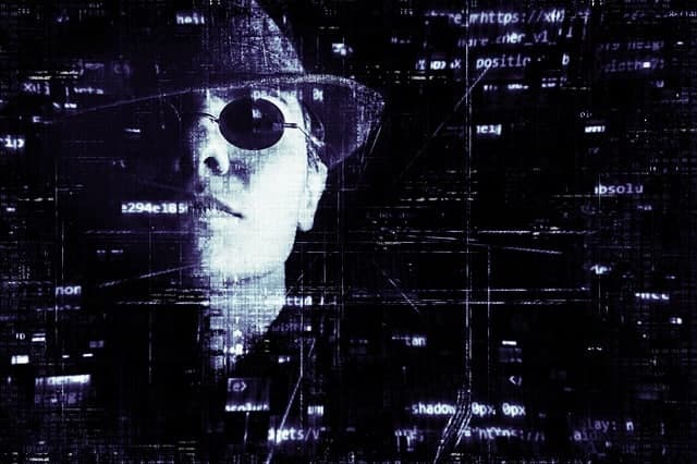 Have You Committed Fraud in Tampa?: Here’s Your Next Steps