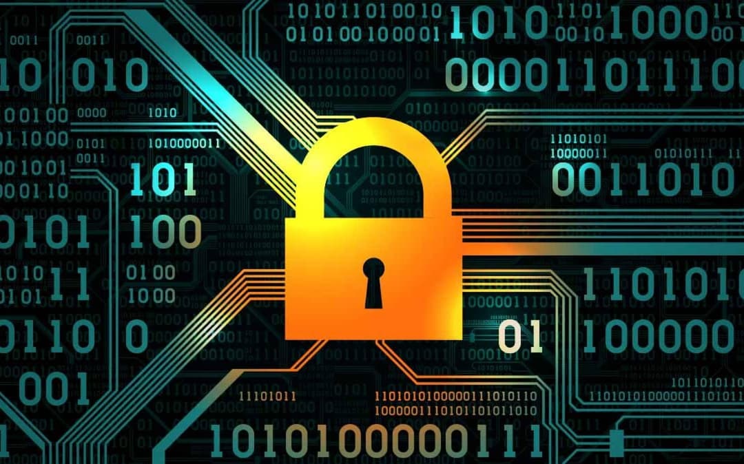 How to Protect Your New Company from Fraud