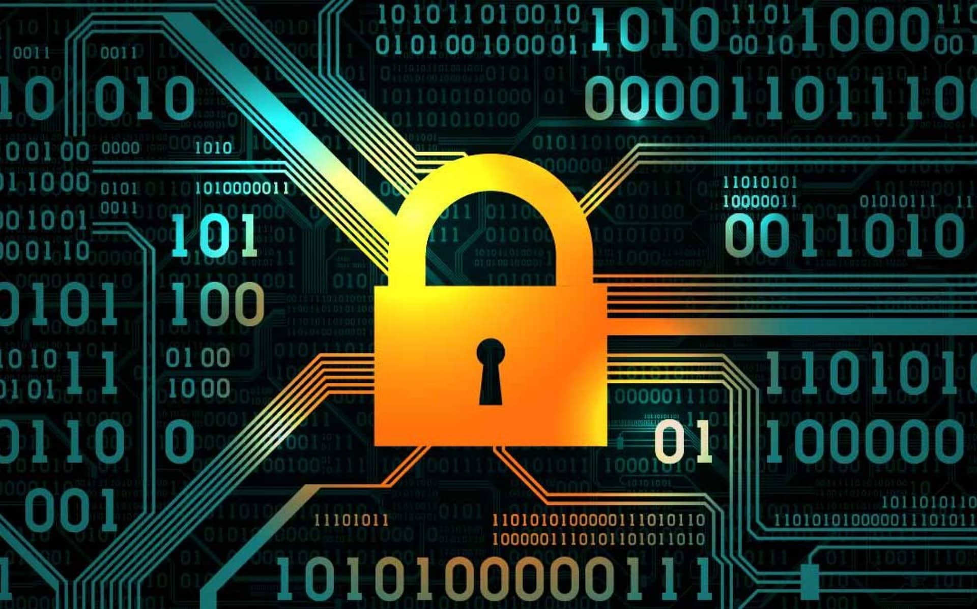 How to Protect Your New Company from Fraud